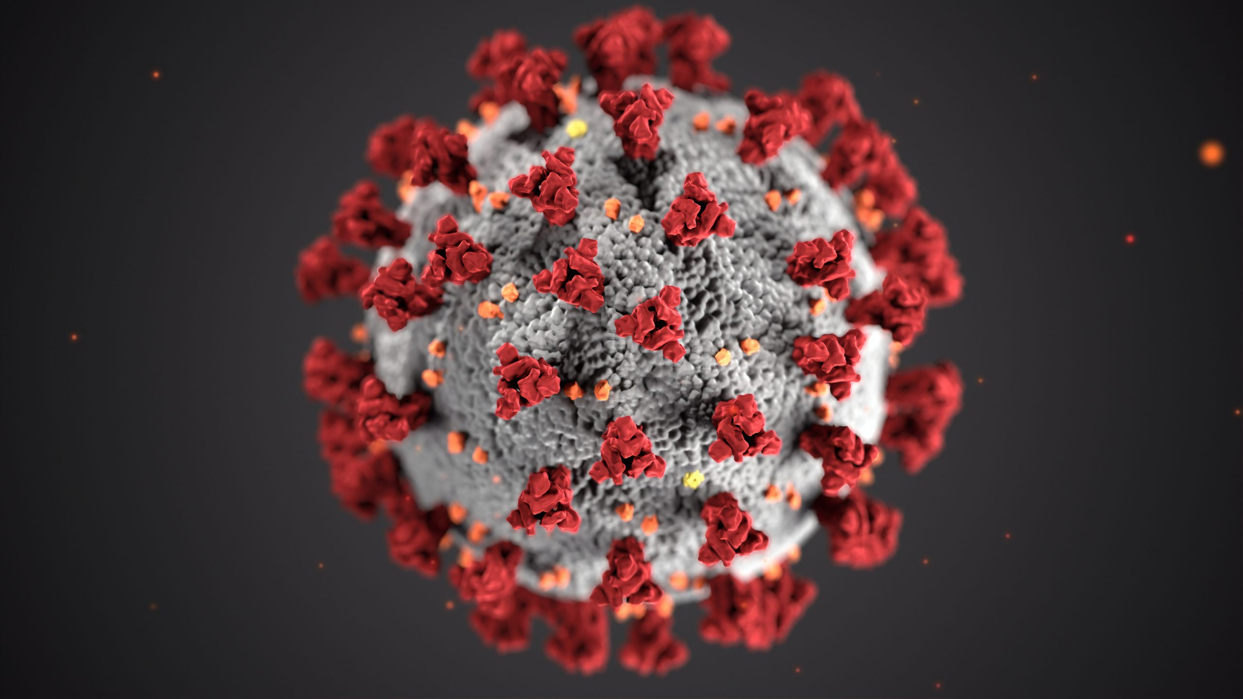 COVID Virus image